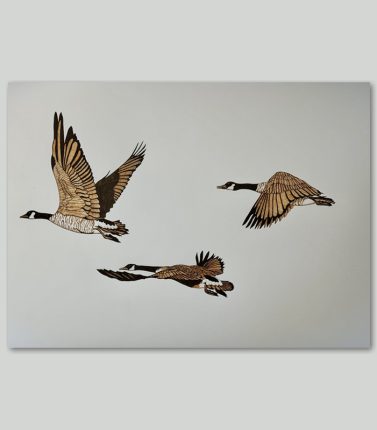 Canada Geese - Limited Edition Print