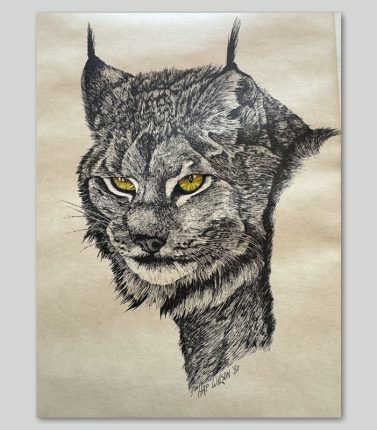 Lynx - Limited Edition Print